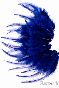 Gallo - 8-12 cm - blu notte